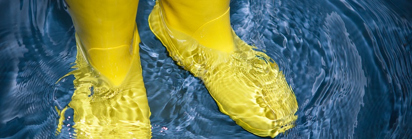 出口产品RoHS检测 有害物质欧盟ROHS检测认证办理费用