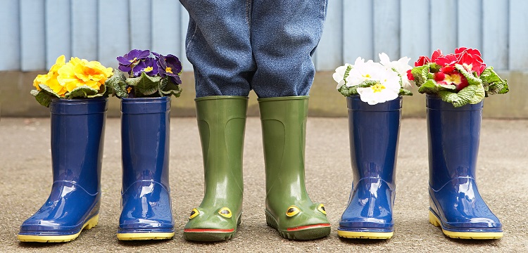 求问毒理未来的前景在何方  氟唑磺隆flucarbazone-sodium毒理数据有查询到的吗 