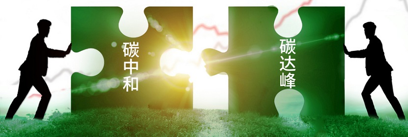 碳中和咨询