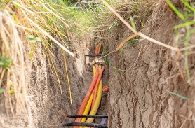 氧化稳定性测试