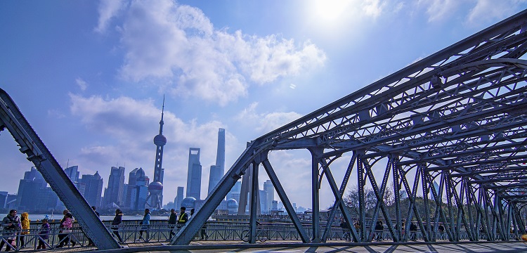 人大细胞肺癌H460红色荧光标记肿瘤模型