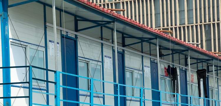 强迫症PIPING小鼠模型