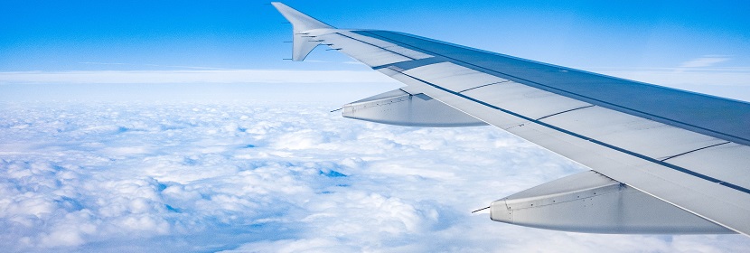 人成纤维细胞注射诱导恒河猴帕金森模型