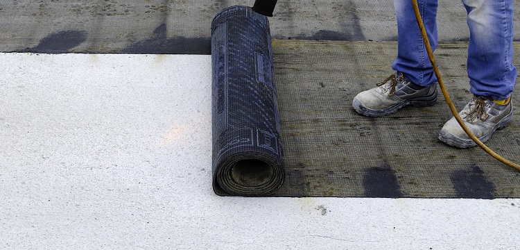 人肝癌(HCC)异种移植小鼠模型