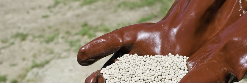 二氢化喹啉检测