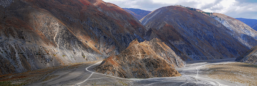 对特辛基苯酚检测