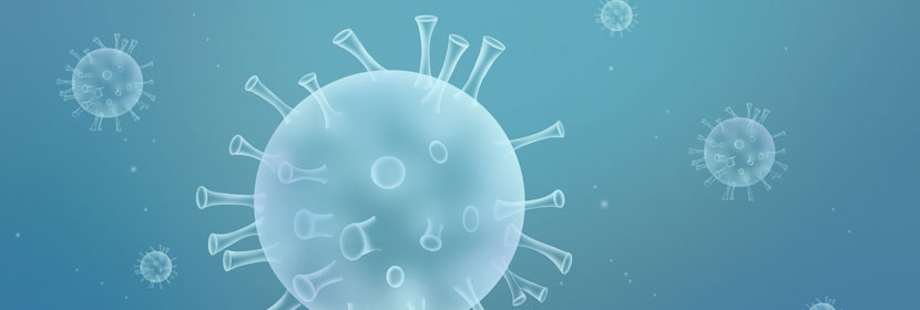 基因检测,转基因产品检测