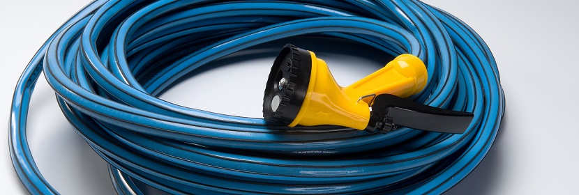 颈脊髓压迫大鼠模型