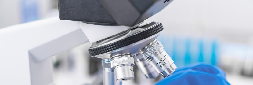 汽车保险杠聚丙烯(PP)专用料检测