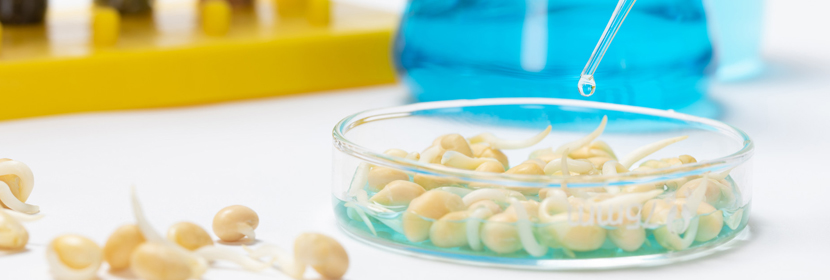 食品毒害物质检测