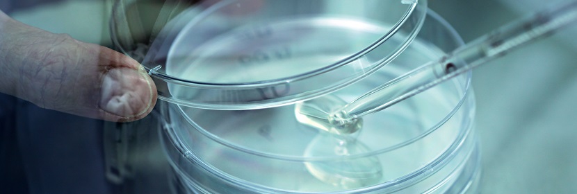 工业用二乙烯苯检测