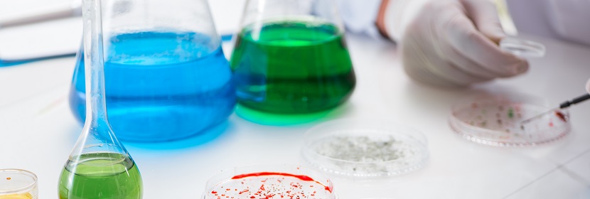 聚酰胺1010树脂检测