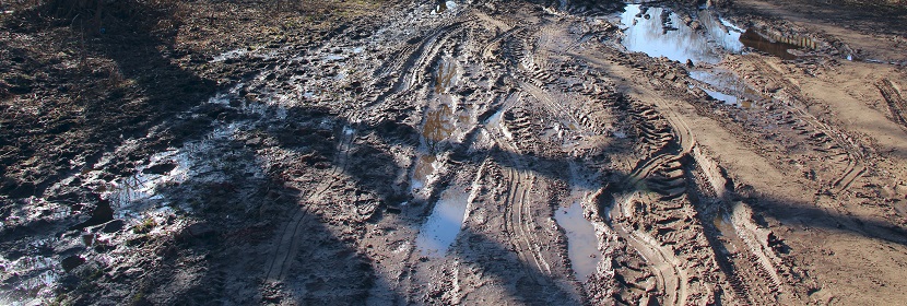 污泥有机质检测