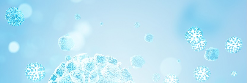 橡胶密封件给、排水管及污水管道用接口密封圈材料测试