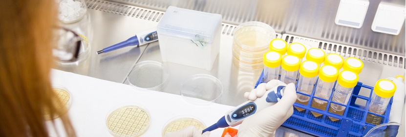 聚碳酸酯树脂检测