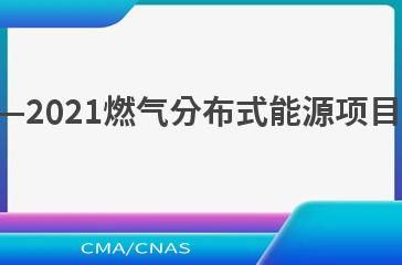 DL/T 2446—2021燃气分布式能源项目后评价标准