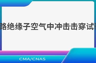 DL/T 557—2021高压线路绝缘子空气中冲击击穿试验定义、试验方法和判据