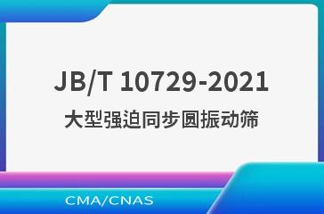 JB/T 10729-2021大型强迫同步圆振动筛