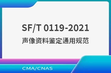 SF/T 0119-2021声像资料鉴定通用规范