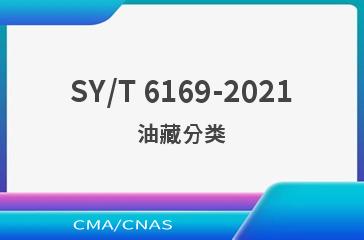 SY/T 6169-2021油藏分类