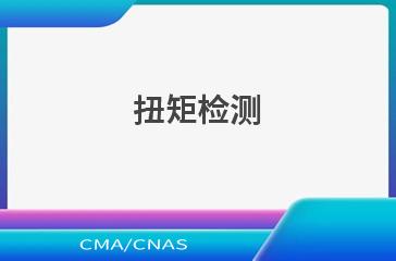 扭矩检测