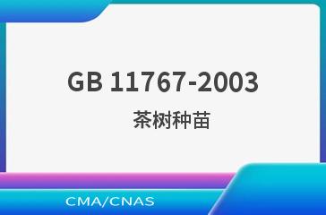 GB 11767-2003    茶树种苗