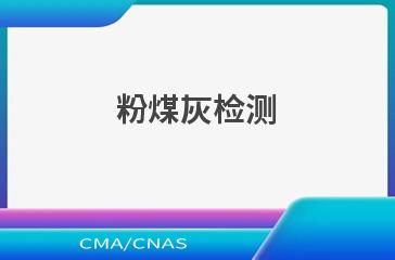 粉煤灰检测