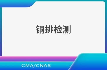 铜排检测