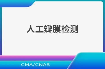 人工瓣膜检测