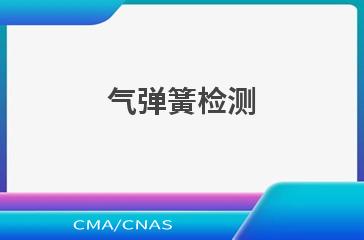 气弹簧检测